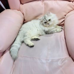 点击看大图 -Beauty Nails 美甲美睫皮肤管理