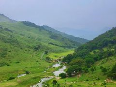 -大姆山草场