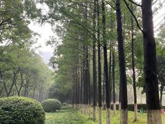 -后襄河公园