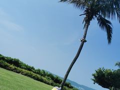 -三亚亚龙湾天域度假酒店