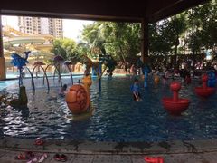 -亚马逊丛林水乐园