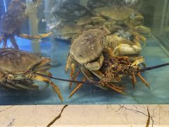 -田园肥牛鲍鱼先生(新北店)