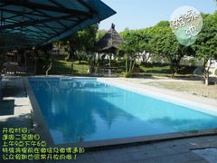 店内环境-良成狗狗乐园