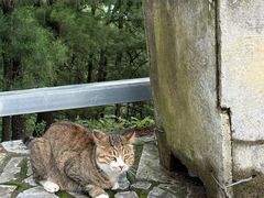 -苍山感通索道