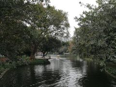 -晓港公园