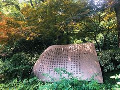 -杭州半山国家森林公园