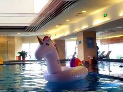 游泳池-海河假日酒店·游泳馆