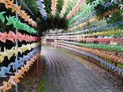 -上膳源有机农场