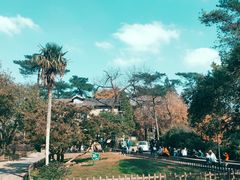 -莫干山风景区