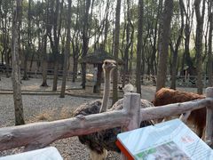 -昆山城市生态森林公园