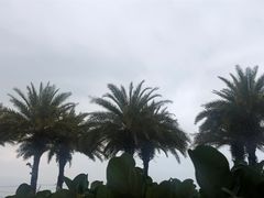 -木屋烧烤(惠阳华润小径湾店)