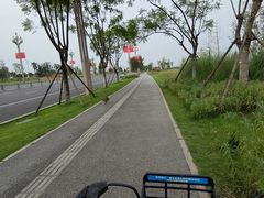 -桤木河湿地公园