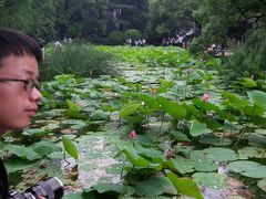 -人民公园-相亲角