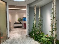 点击看大图 -艾维庭美学SPA