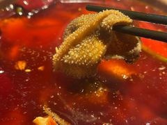 -豹豹私房火锅(侨城坊店)