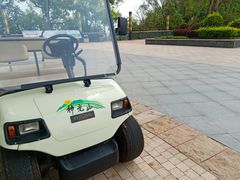 -神光山国家森林公园