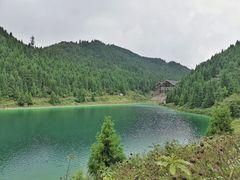 -武陵山森林公园