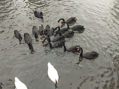 -长白岛森林公园