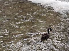 -水磨沟公园
