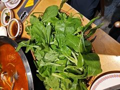 -老凯俚酸汤鱼(多彩城店)