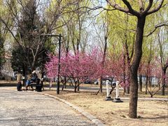 -太阳宫公园