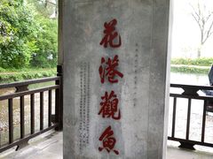 -西湖外事游船(花港观鱼码头)