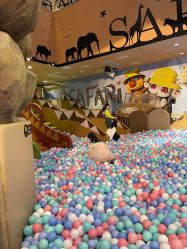 -卡通尼·Safari非洲探索乐园·生日会(金桥国际商业广场店)