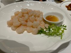 -张生记(丁香国际店)