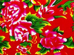 景观位-老东北三江野生大鱼坊(登封店)