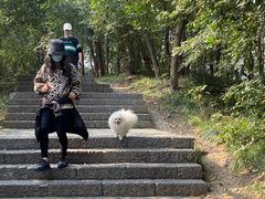 -紫金山山顶公园