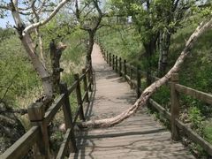 -白草畔自然风景区