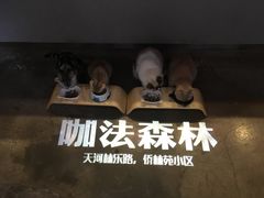 -咖法森林·咖啡  酒吧(天河店)