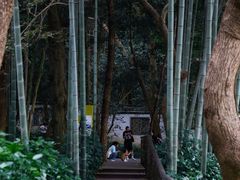 -杭州植物园