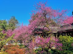-杭州植物园