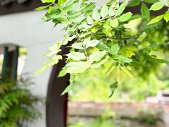 -黄陂区野村谷景区