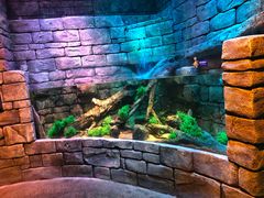 -沈阳海洋探索中心