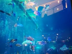 -成都浩海立方海洋公园