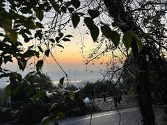 -岳麓山风景名胜区