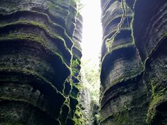 -梭布垭石林景区