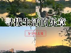 -鹤之洲湿地公园