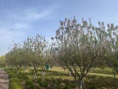 -江南大学(蠡湖校区)