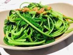 白灼芥兰苗-MR鹅外