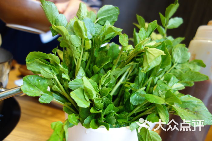 今日牛事潮汕鲜牛肉火锅(徐汇总店)西洋菜图片 - 第7319张