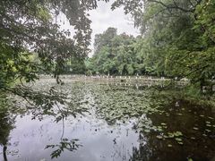 -花溪公园