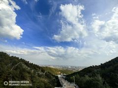 -大青山野生动物园