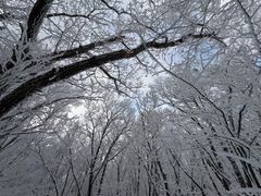 -中旅松花湖滑雪场