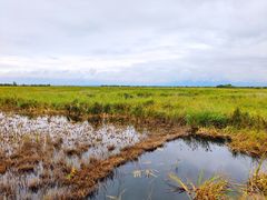-野鸭湖国家湿地公园