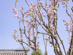-北京颐和宾馆