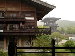 -大唐贡茶院