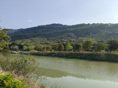 -风云岭森林公园